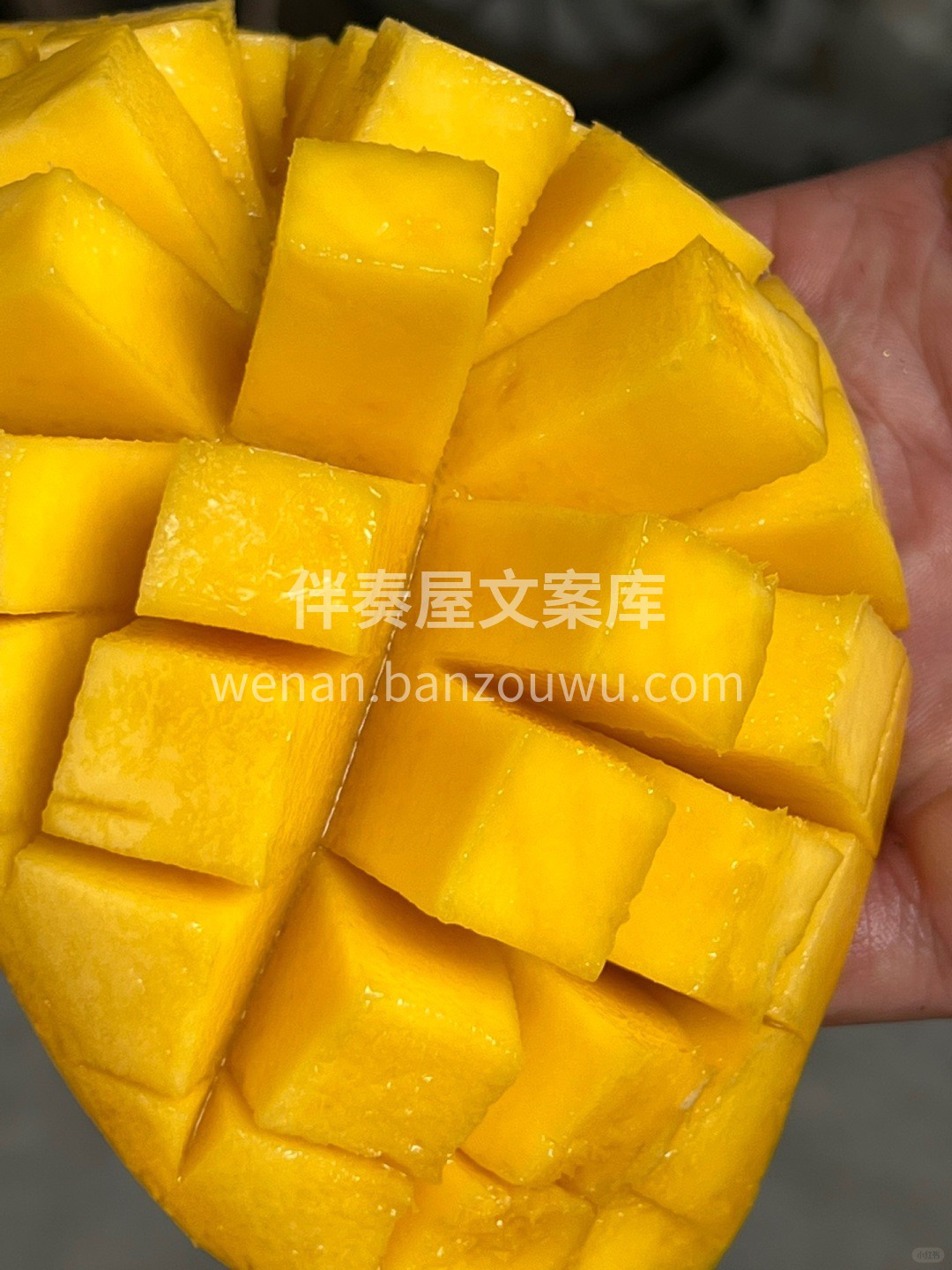 🌿🍊【今日新果到店啦‼️】 从清晨挑选、 配图1