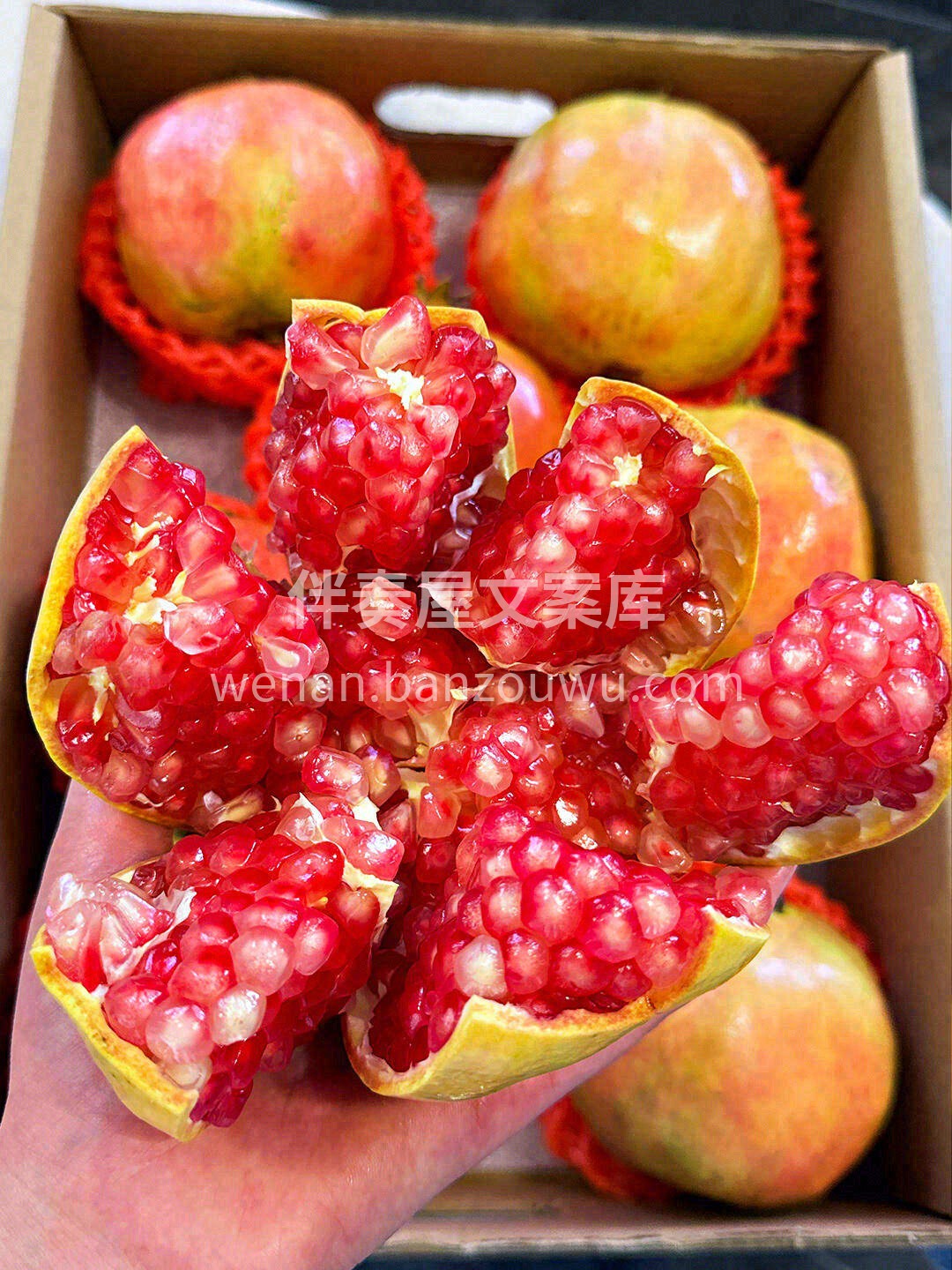 今日份生活有点甜🍭！ 红的透彻，粉的诱人 配图2