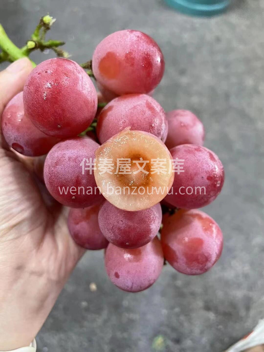 妮娜皇后?实拍，自然上色 大部分带糖心| 配图3