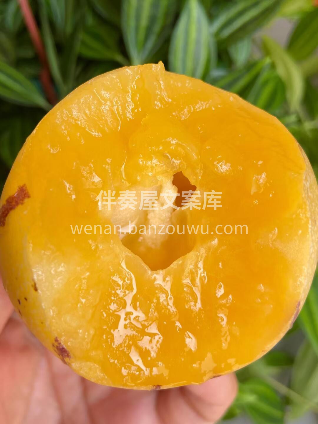 像喝水一样吃的水果😍人参果 口感清甜～无 配图1