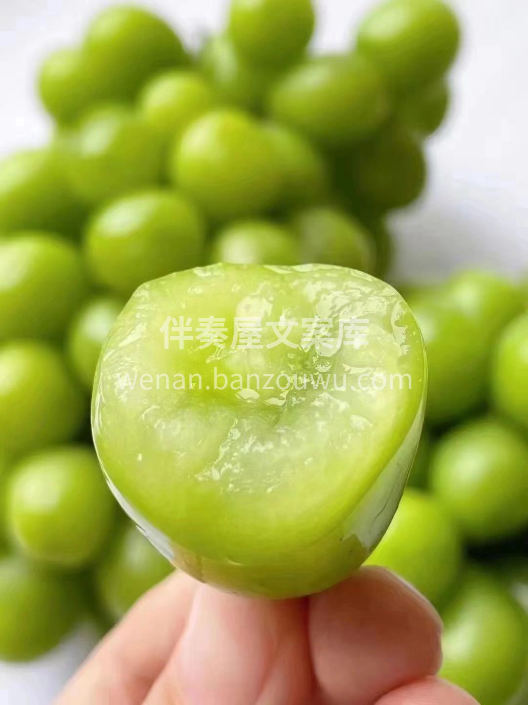 🍇【超大果超爆汁‼️阳光玫瑰葡萄来啦】  配图2