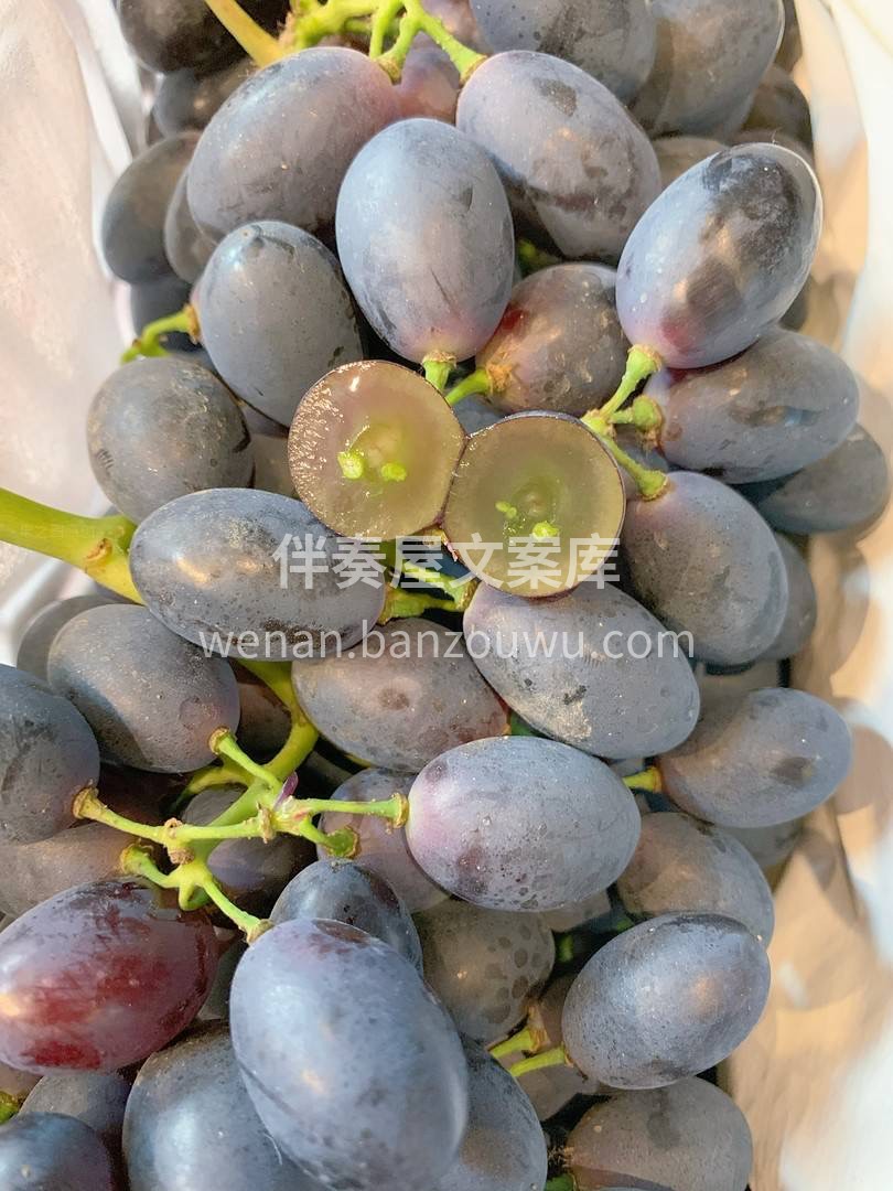🍇紫甜葡萄很美的名字 跟它的外表也是极为 配图1
