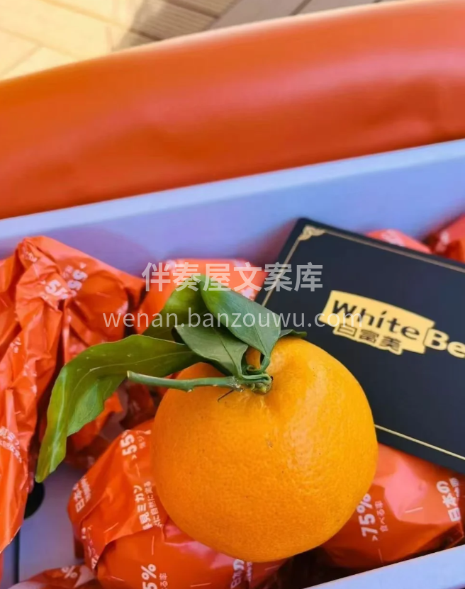 白富美®️限定春见礼盒🎁 爱马仕橙限定皮 配图1