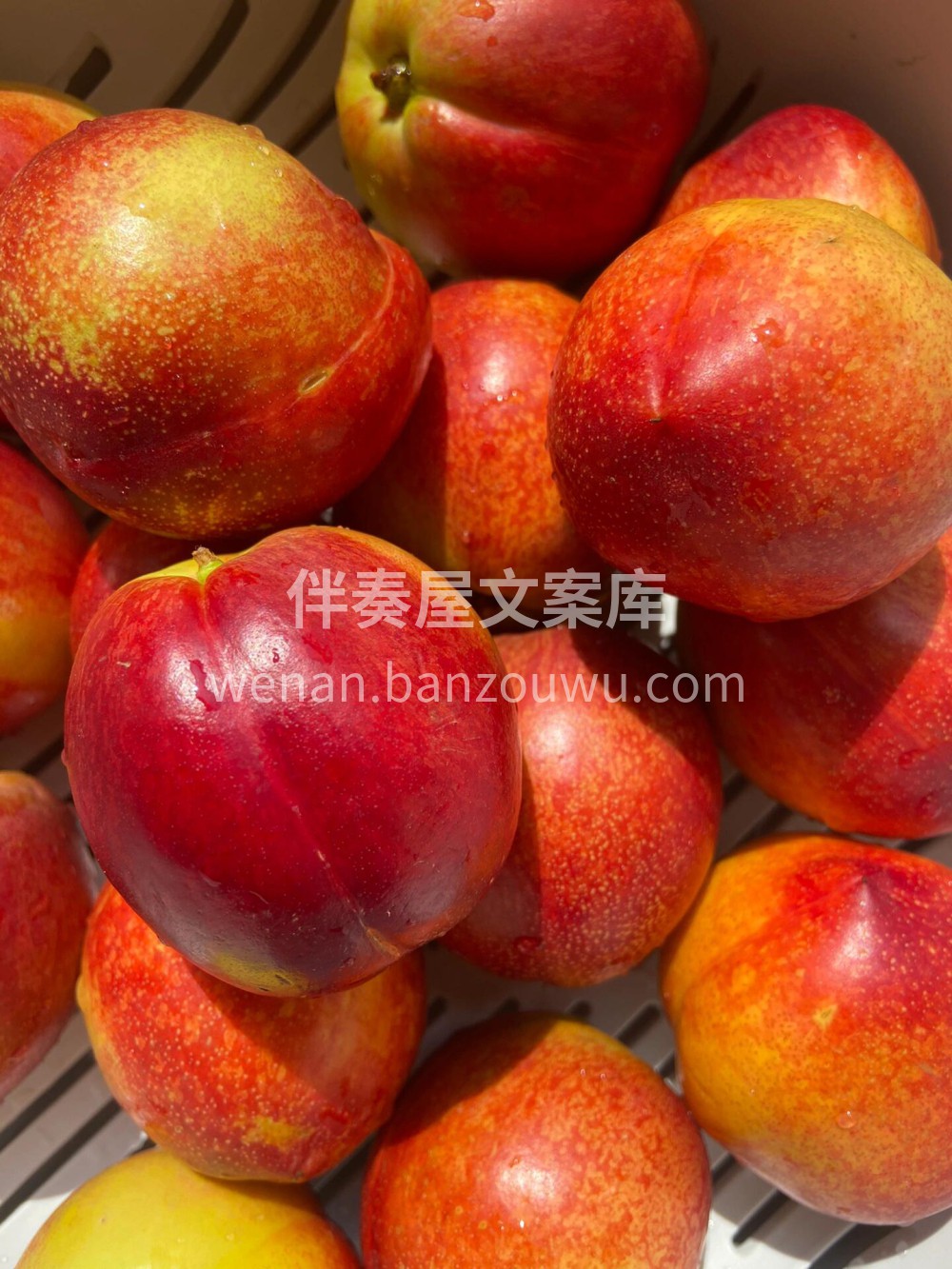 黄心油桃🍑正当时！汁水足桃味浓🍹初夏的第 配图1