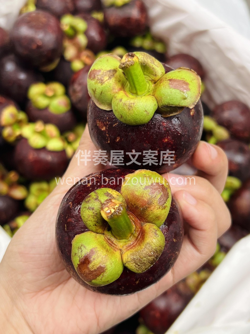 🌧️【雨季小确幸】 雨天和水果更配哦~窝 配图2