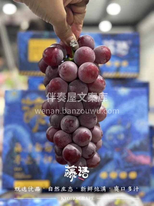 🍇藤语葡萄 之 系列香虞 新品种重磅上市 配图1