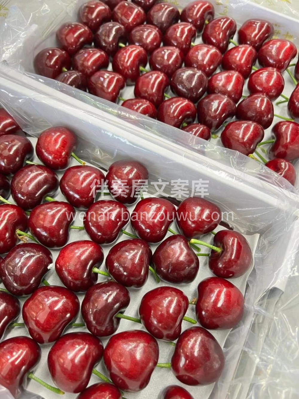 😘今天必须给你们推荐这款大连美早樱桃🍒它 配图2