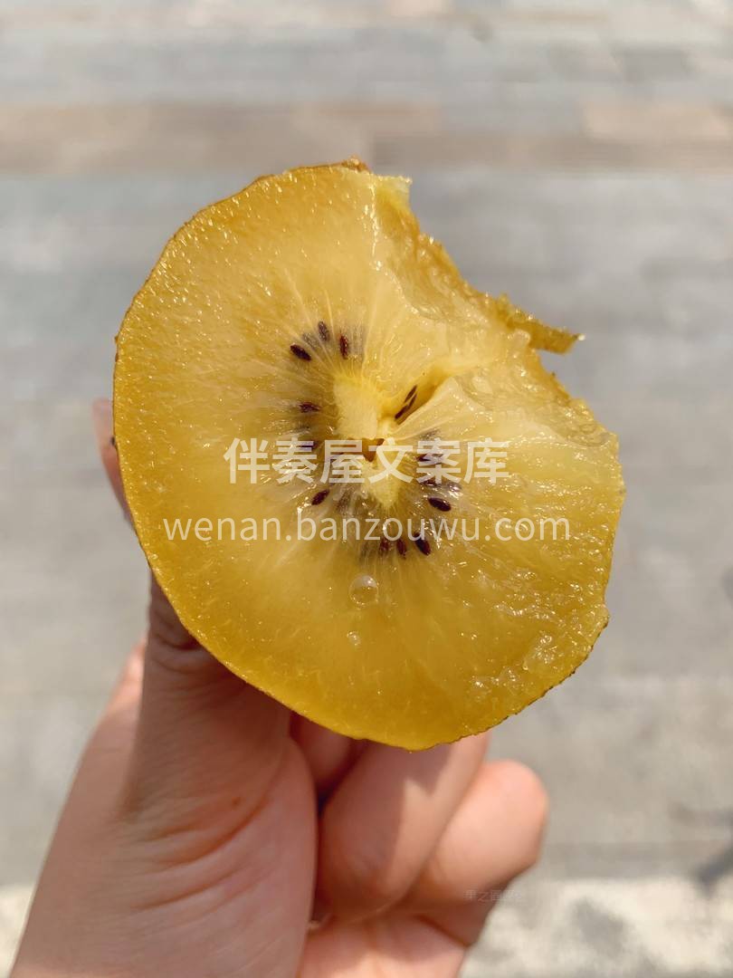 不负一生“绒”装，不负一身珍宝， 椭圆的 配图2