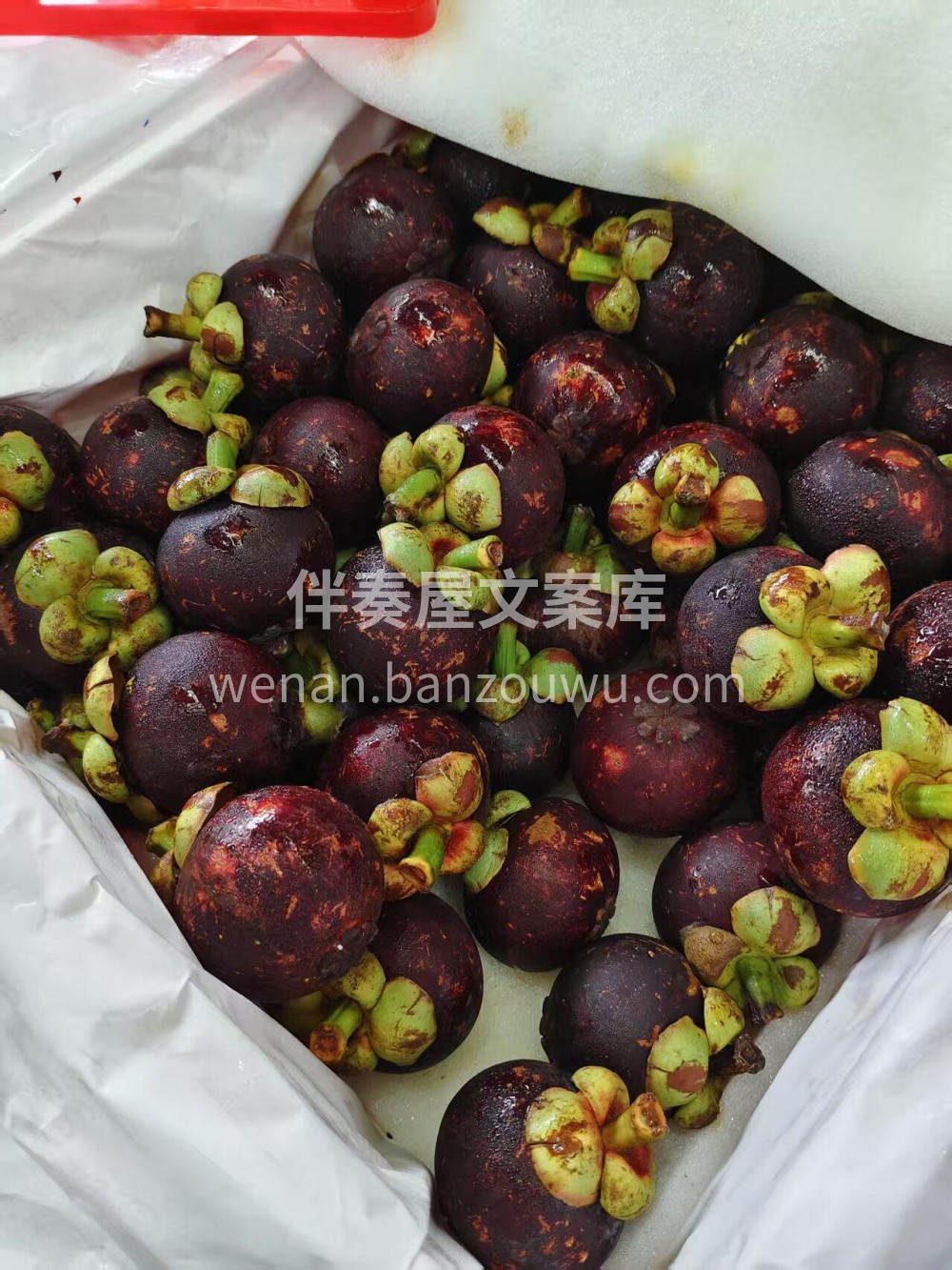 新鲜5a山竹👉过节必备，去火解腻水果🔥， 配图3