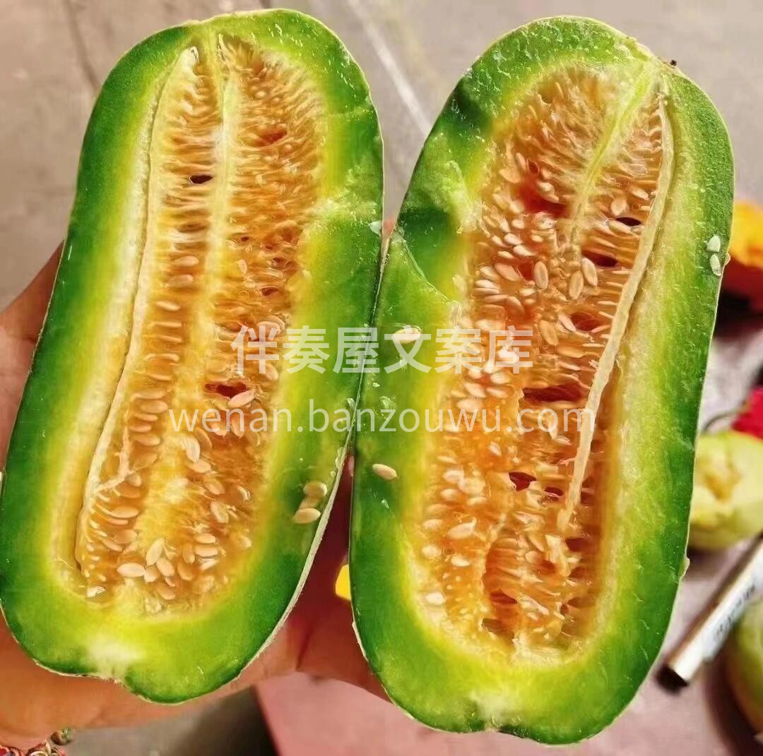 【博洋蜜瓜】🔥🔥闻之香，食之脆，承包了整 配图3