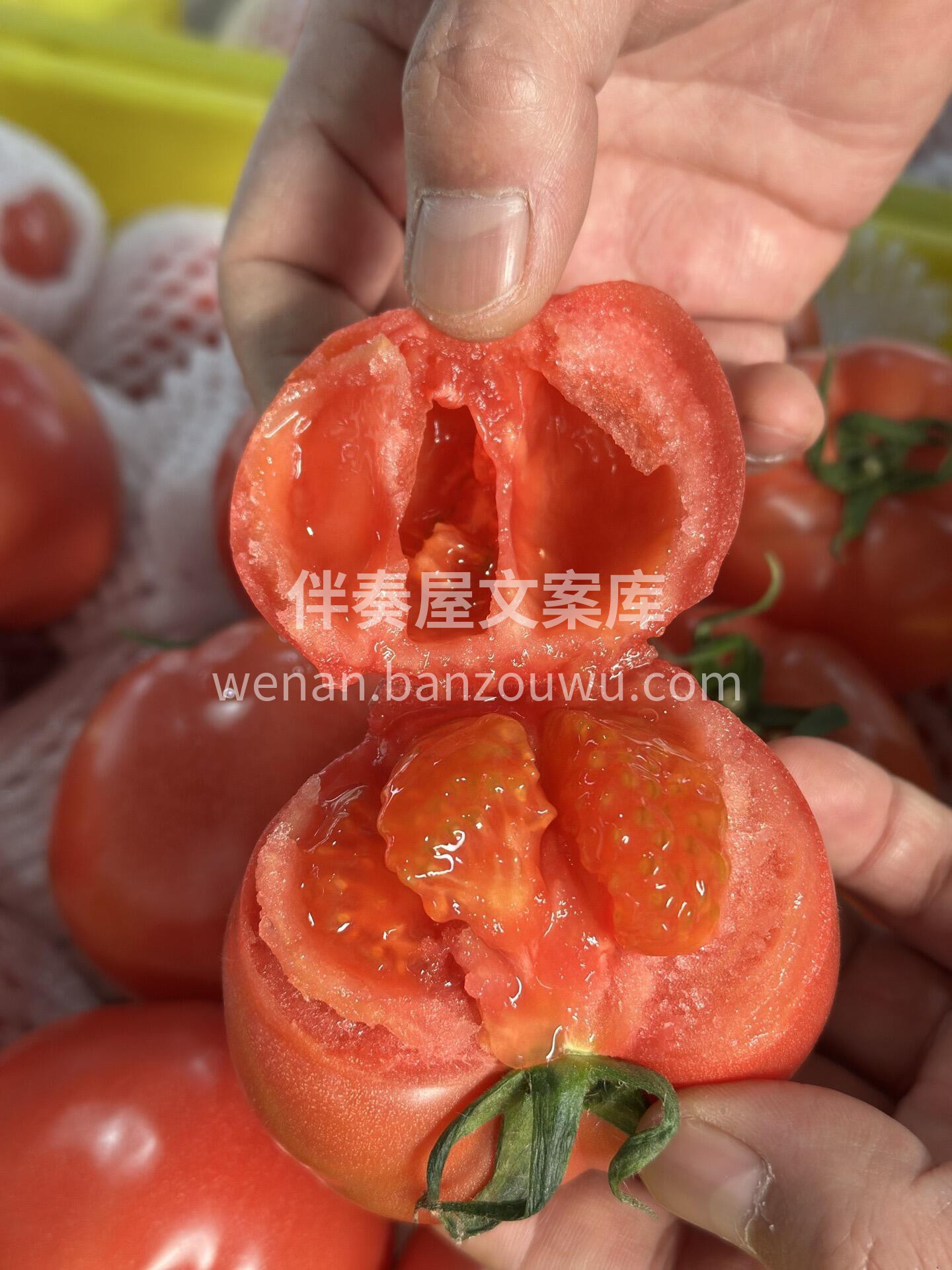 🍅普罗旺斯西红柿🍅 一掰两瓣，沙瓤汁多💦 配图2