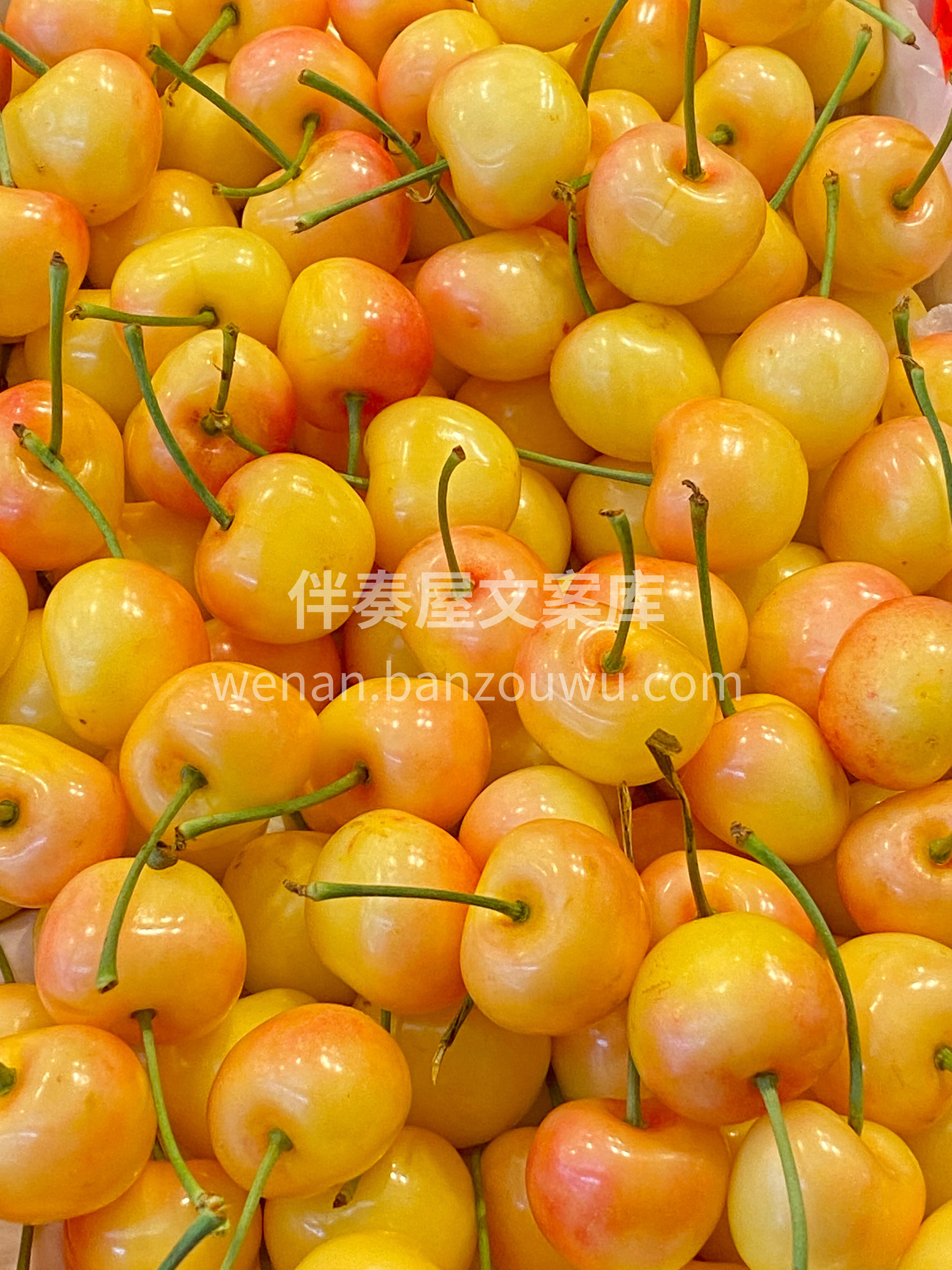 黄蜜樱桃🍒🍒，颗颗水晶😍 看一眼就心动💓 配图2