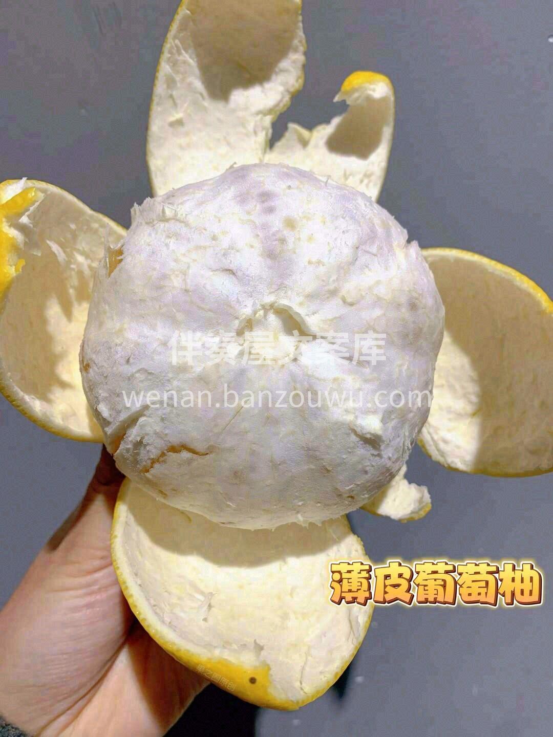 ✨无限回购的葡萄柚‼️‼️ 🍂干燥易上火 配图3