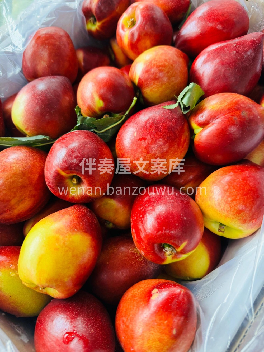 ??带尖油桃?超级脆实的口感～ 酸甜比刚 配图3