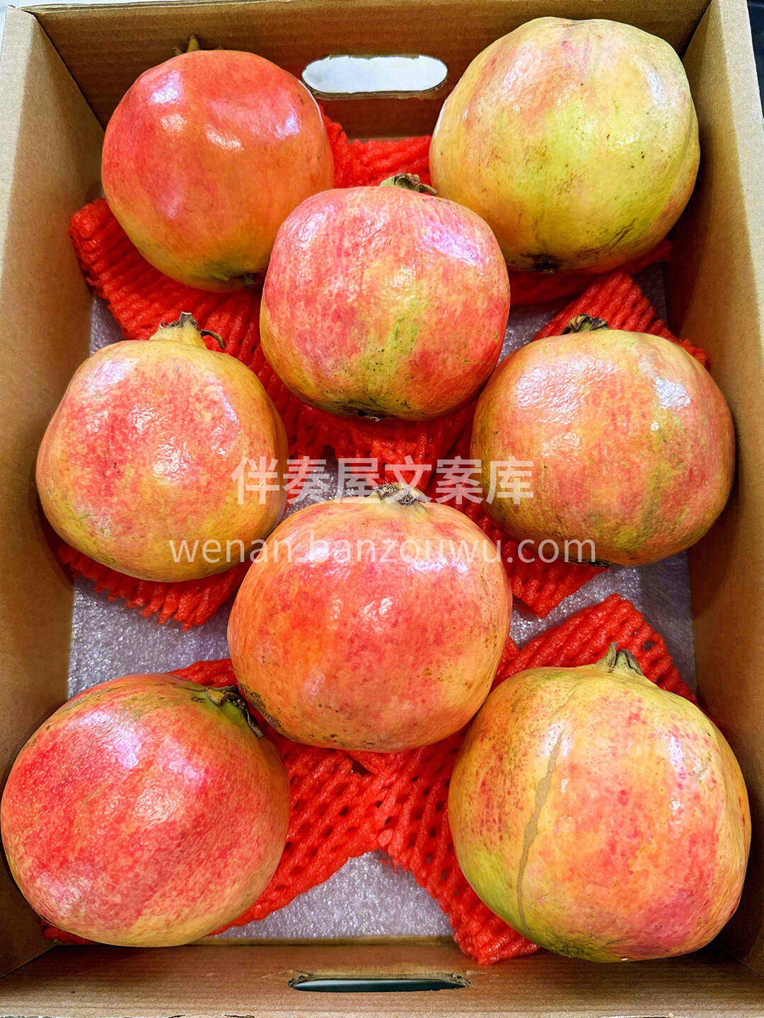 今日份生活有点甜🍭！ 红的透彻，粉的诱人 配图3