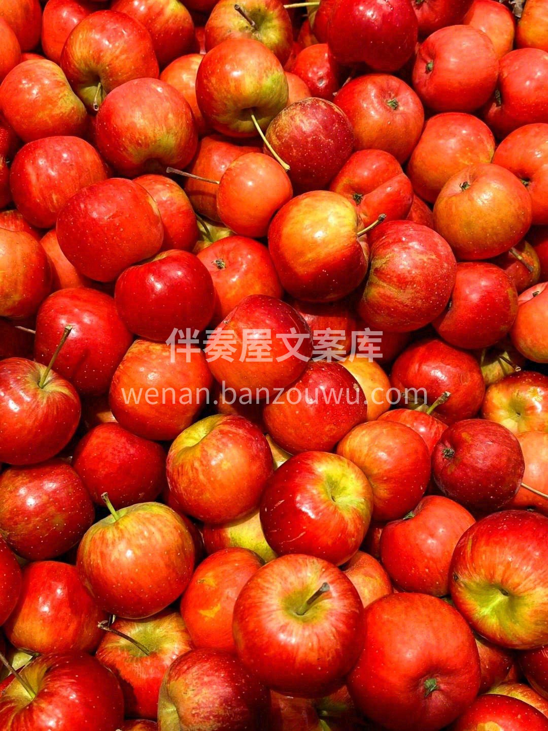 😂吃苹果吗？一把一把吃的那种 恰如其分的 配图3