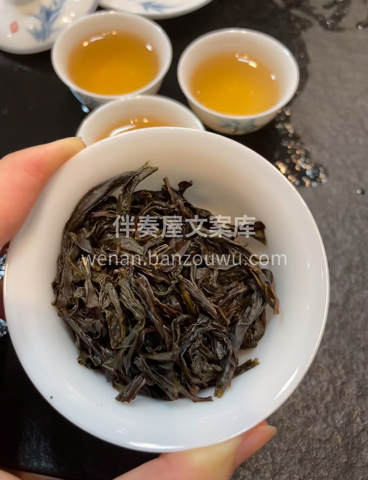 凤凰山云雾孕奇茗，新到凤凰单丛蜜兰香。干 配图1
