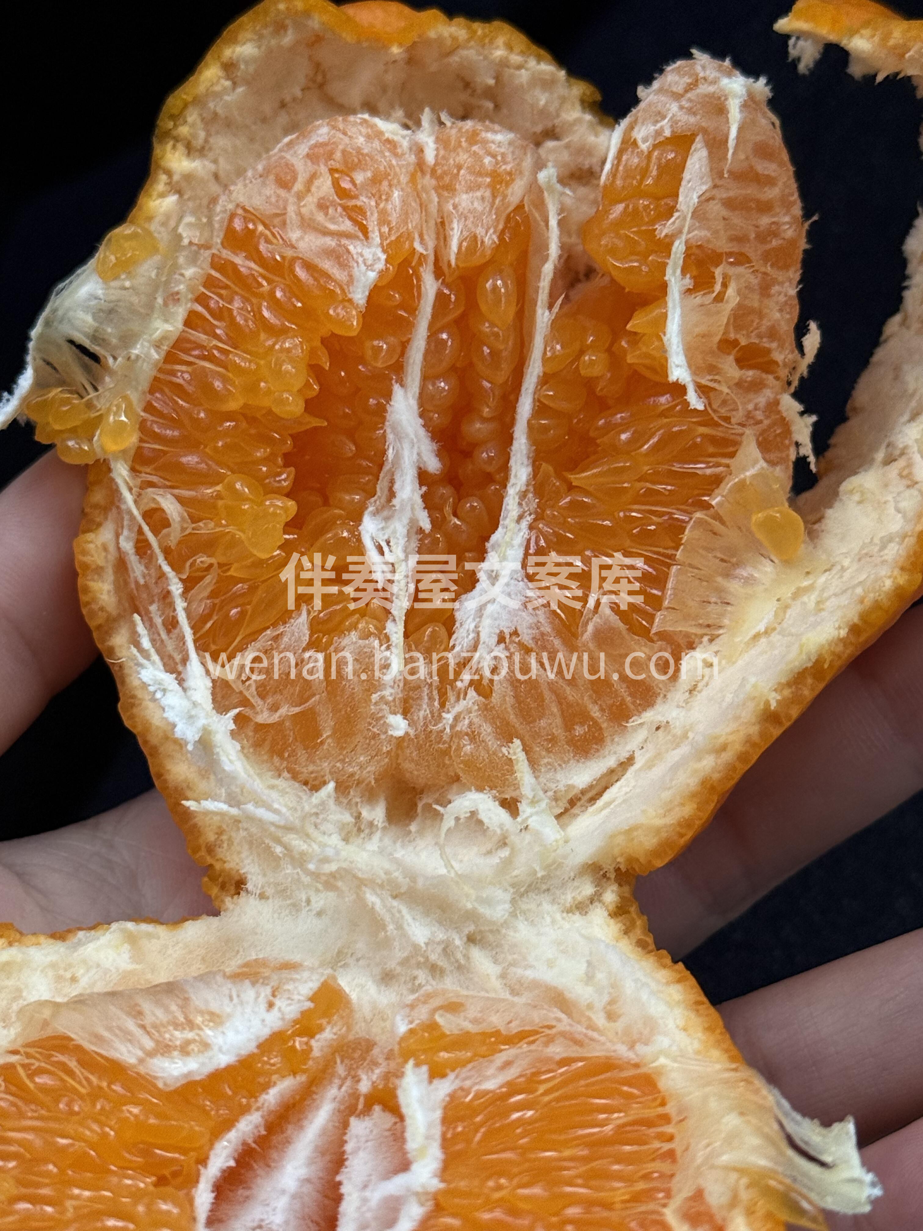 🍊 耙耙柑！ 皮很软 🍊 手一剥就开，不 配图3
