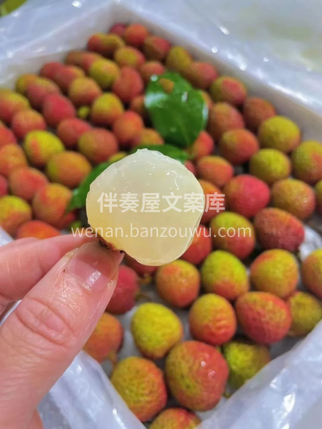 终于盼到了妃子笑荔枝的季节😍 超新鲜的妃 配图2