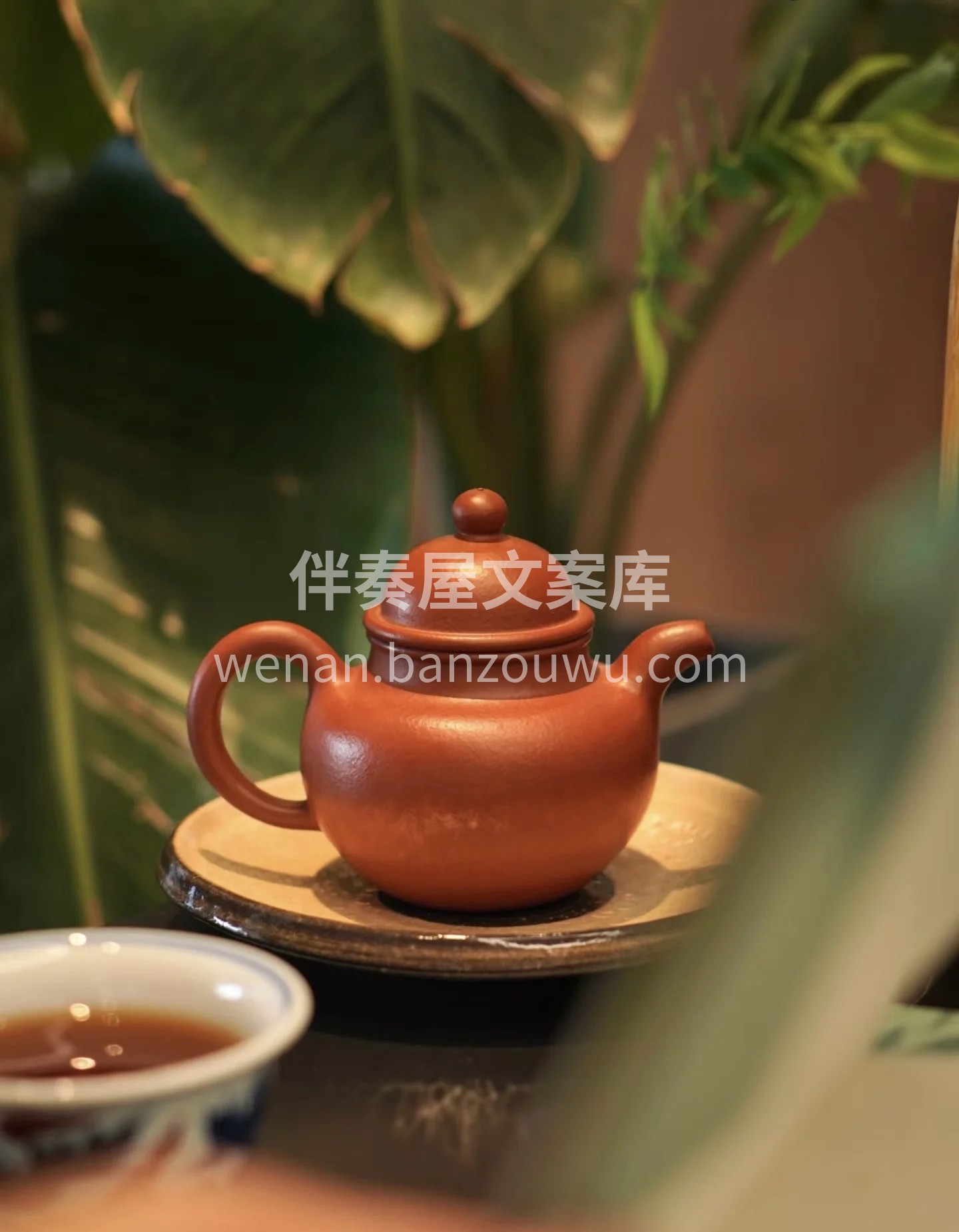 🔥优质茶叶，等您来品鉴！清新的香气，让人 配图2