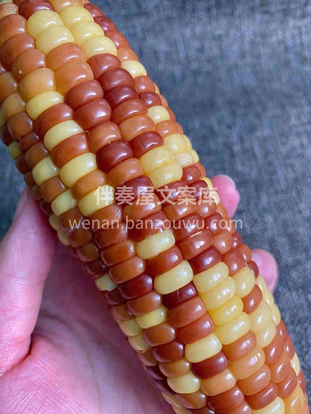 🌽香而不过、软而不烂、甜而不腻、糯而不粘 配图3
