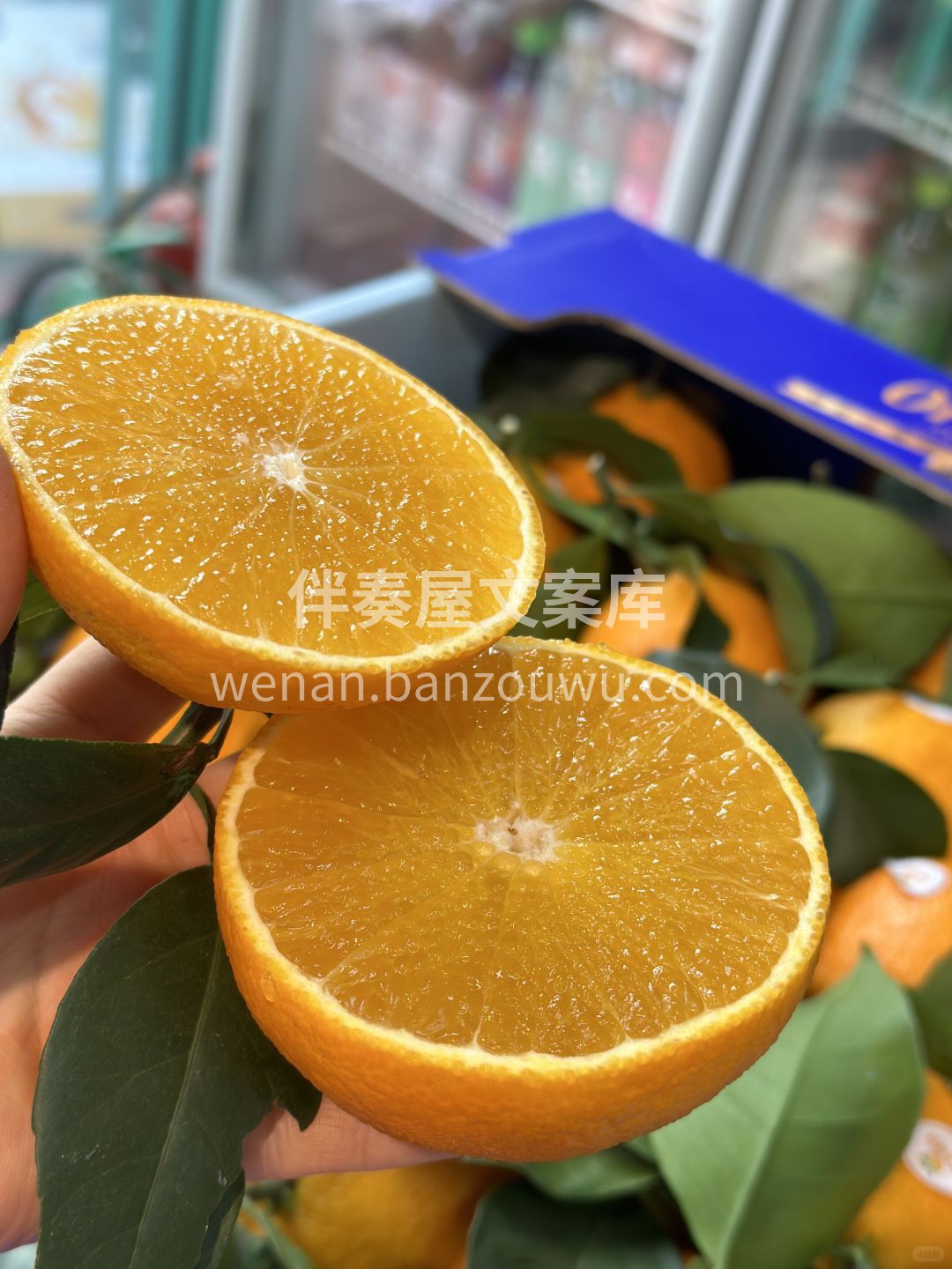 🍊红美人❤️ 柑橘中的爱马仕​ 真的是圈 配图2