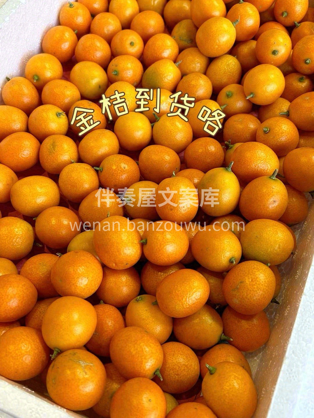 世间万物，唯美味与爱不可辜负🌸。 遇上金 配图3