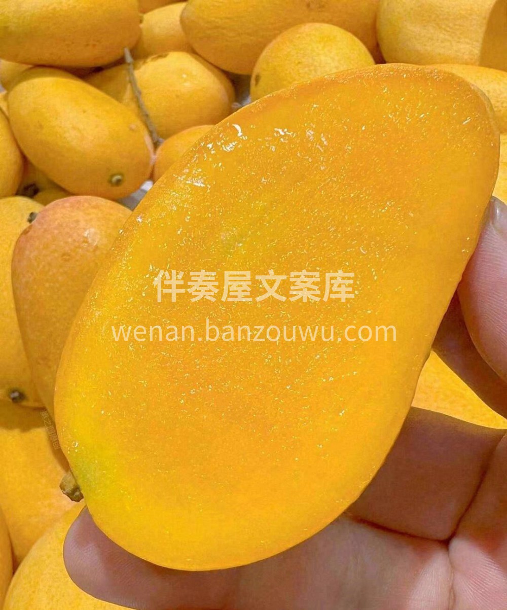 芒果脑袋们看过来👀 🌴海南三亚阳光小台芒 配图2