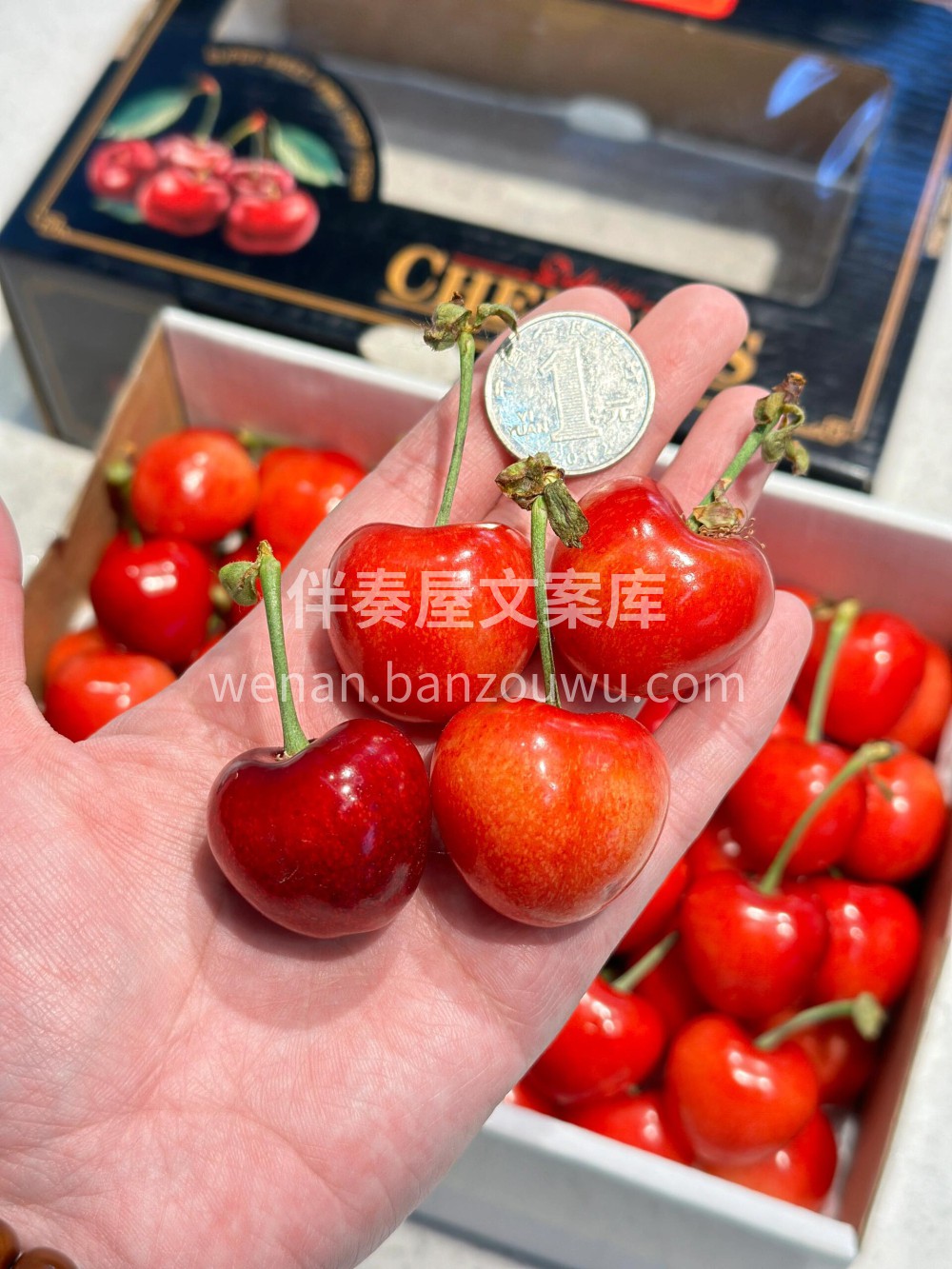 山海关樱桃→沙蜜豆🍒 虽然沙蜜豆带点酸口 配图2
