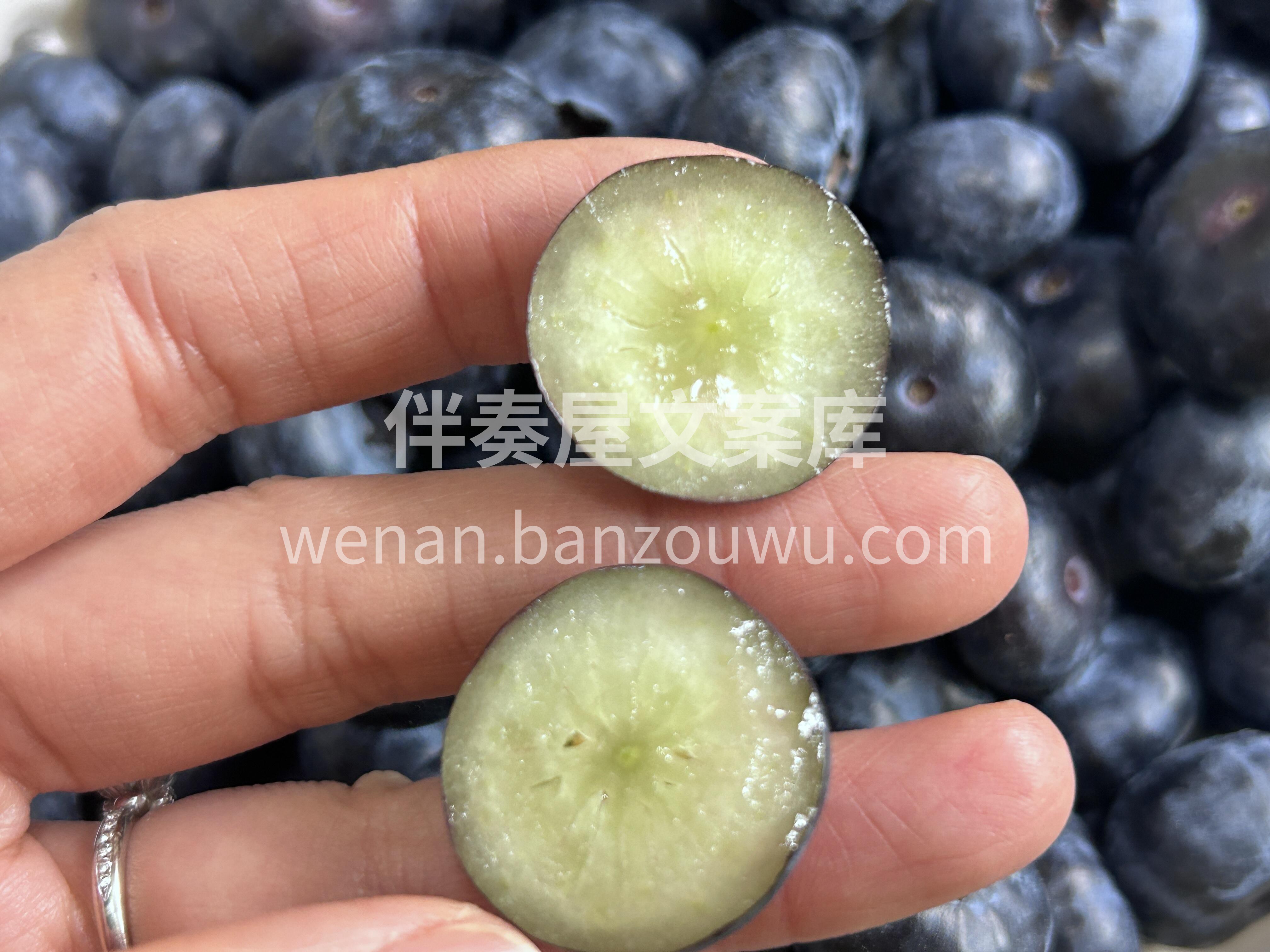 🫐蓝莓Q弹到飞起！ 酸甜平衡刚刚好，果香 配图1