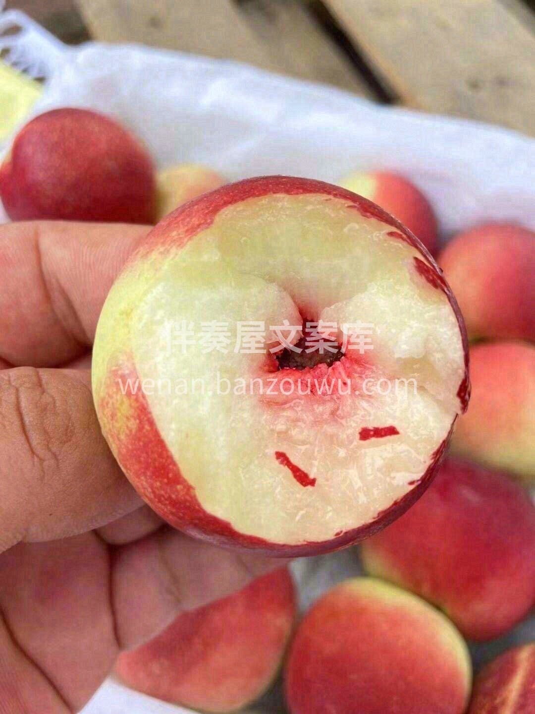 🍑珍珠枣油桃个头不大，味道极甜🍭 硬着吃 配图2