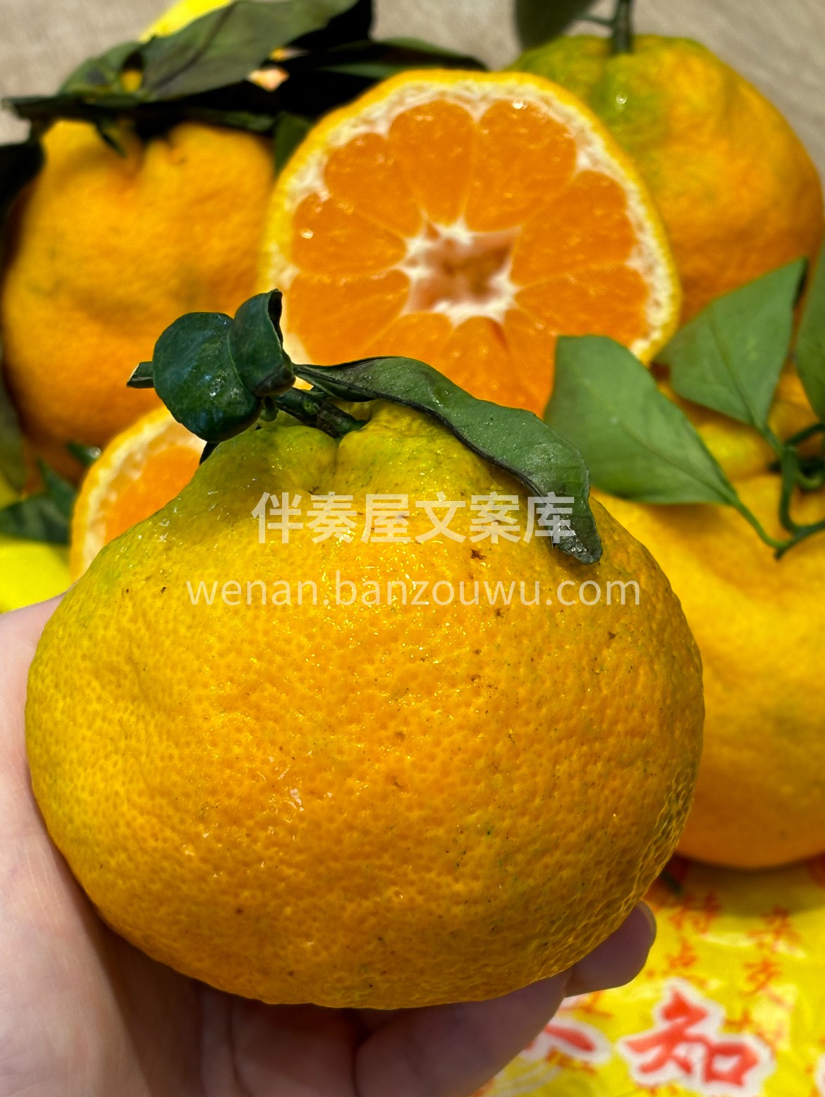 🍊 不知火丑橘来啦👏 超解腻的冬日惊喜‼ 配图3