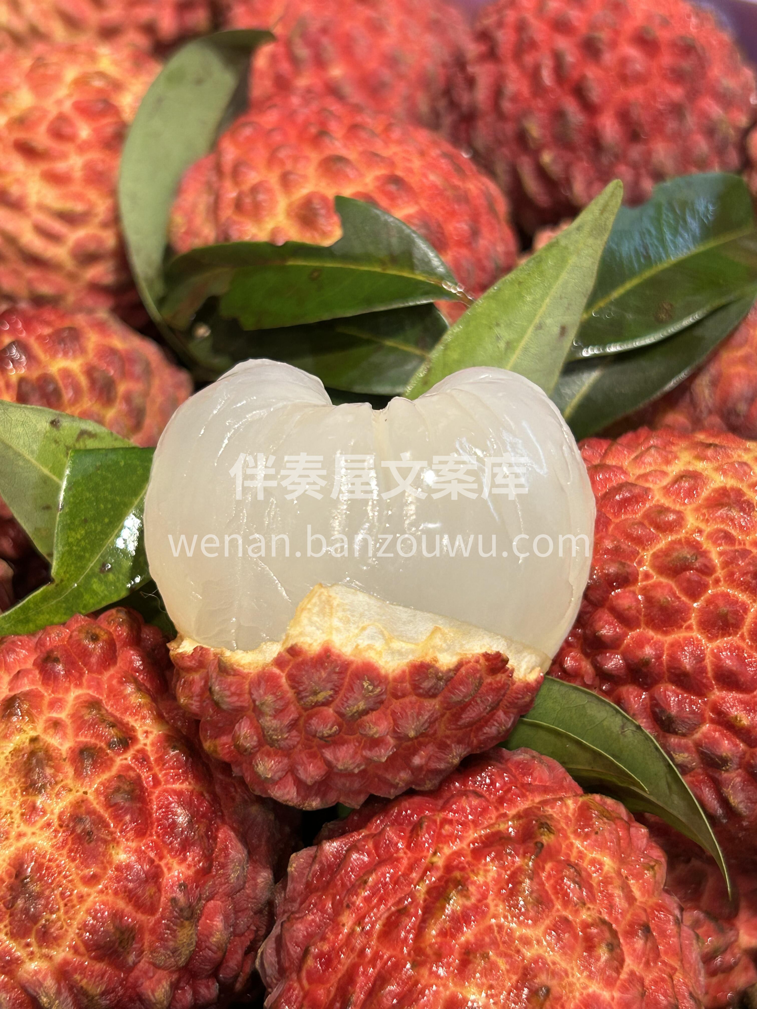 海‮火南‬山口荔枝王‮🔥 大‮鸡如‬蛋， 配图1