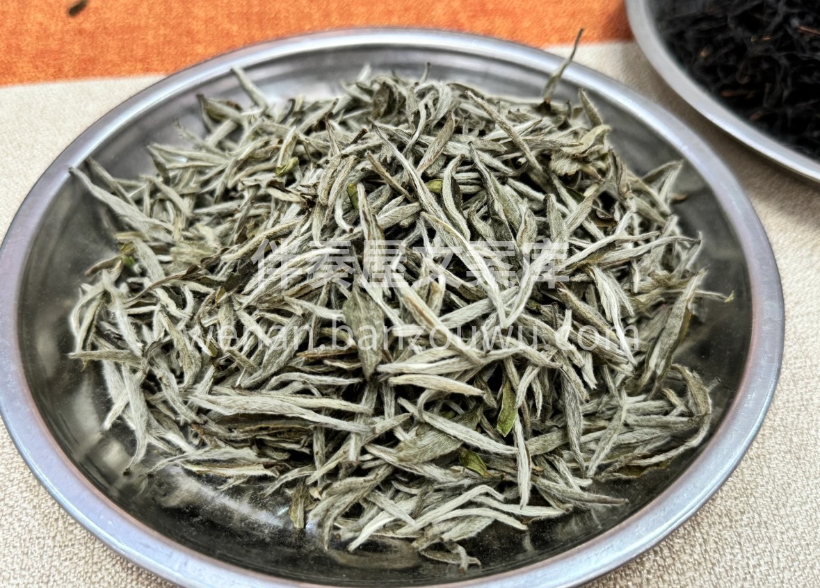 🌿 白毫银针，芽头肥嫩如银似雪，满披白毫 配图1