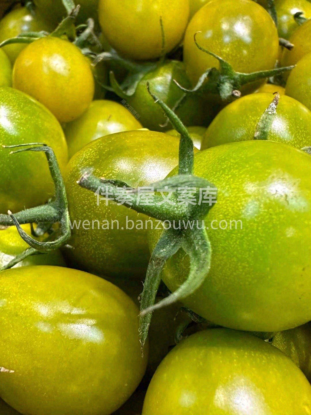 入口是清新的番茄味🍅，但几乎尝不到番茄的 配图3