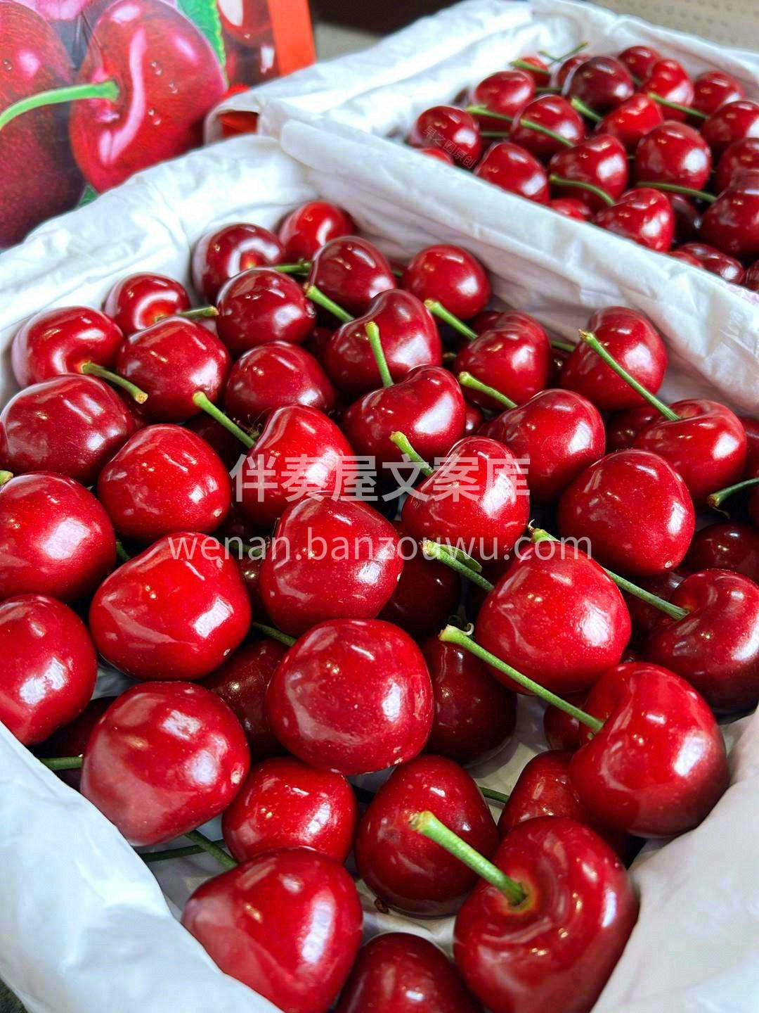 Hello~先来欣赏下我的颜值吧🎉 红如 配图1