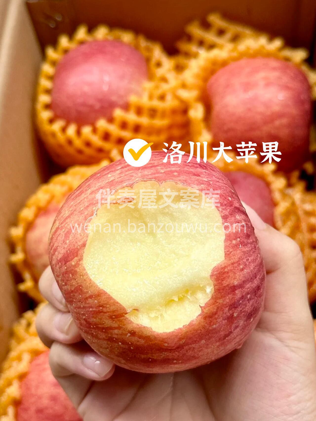 💚洛川红富士苹果☺️给你买苹果的人😘定是 配图1