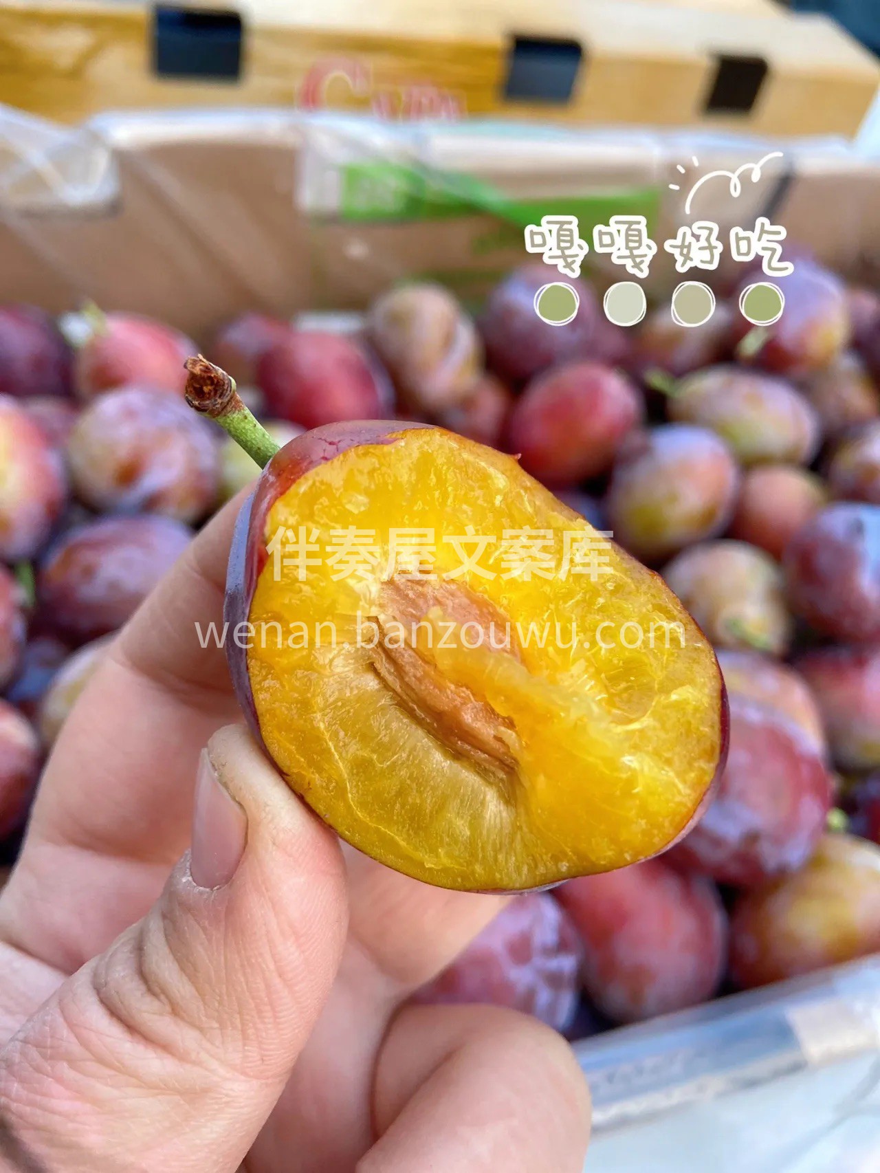 🌱把甜蜜带回家❤️ 从没有一片风景让时间 配图2