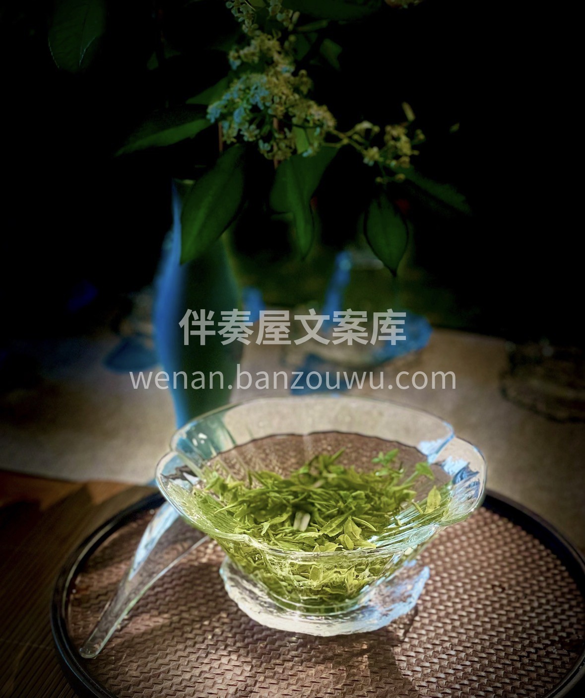 山海间的日照绿茶，泡的是鲜爽，品的是情怀 配图3
