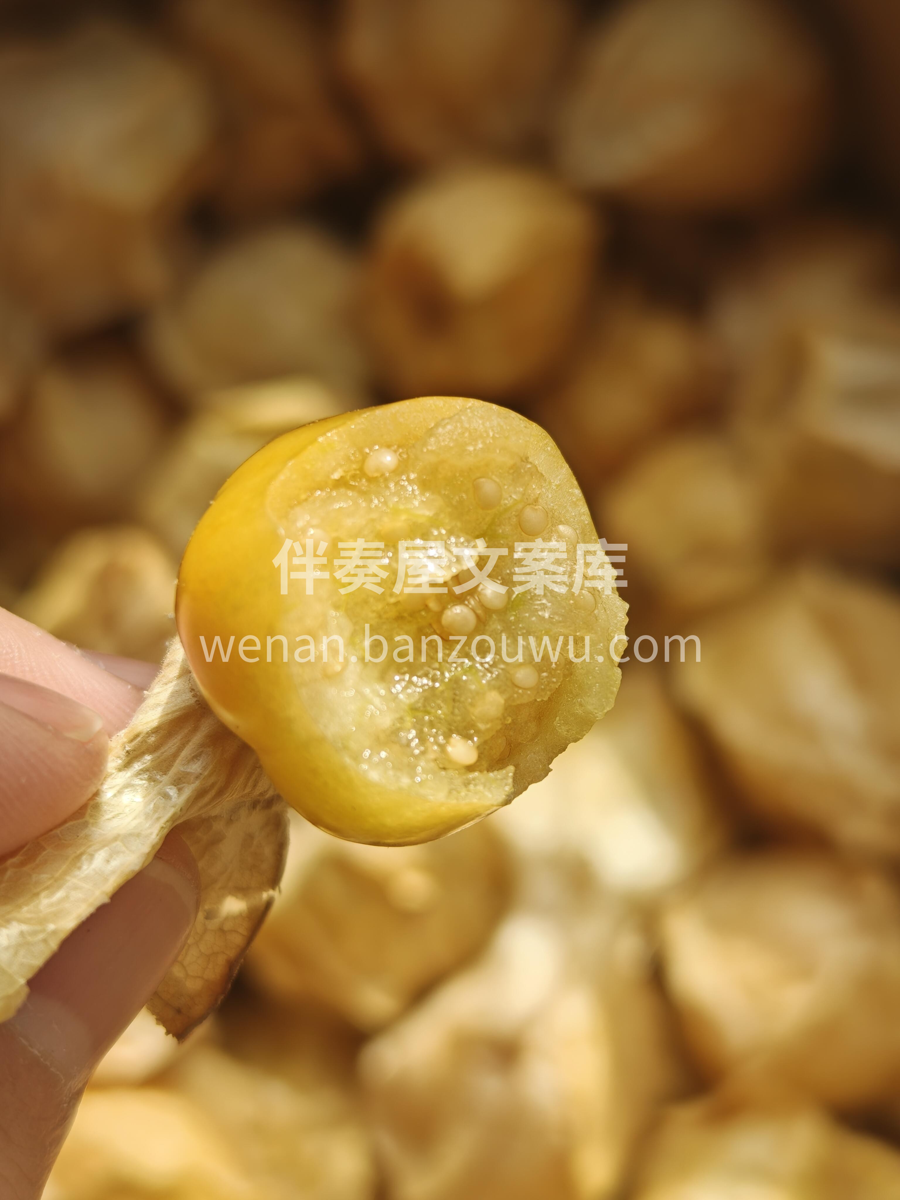 💛神奇的小金豆儿！ 浓浓果香四溢让人垂涎 配图2