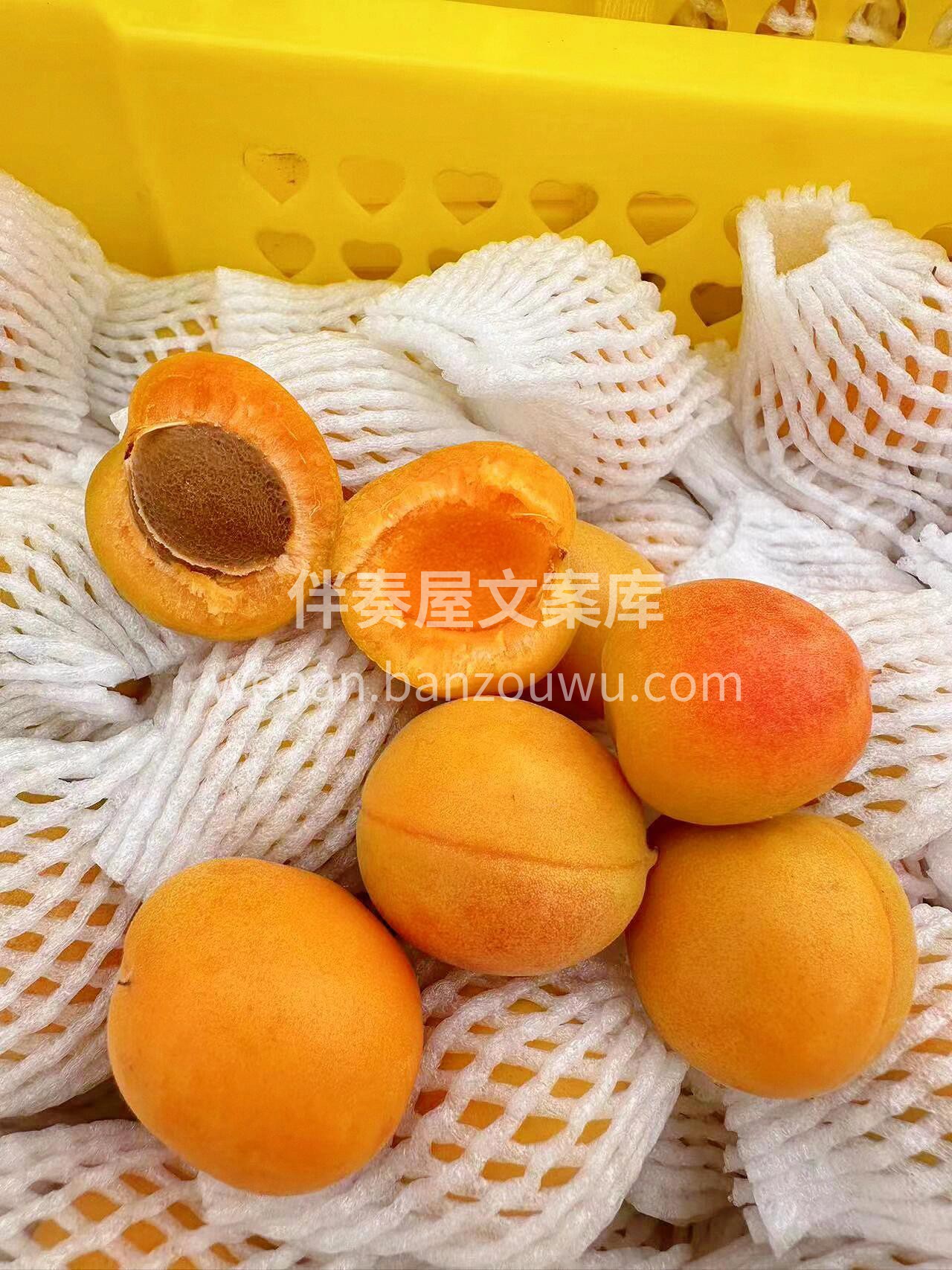 【阿克苏·新疆吊干杏】🍃 一口吊干杏从牙 配图1