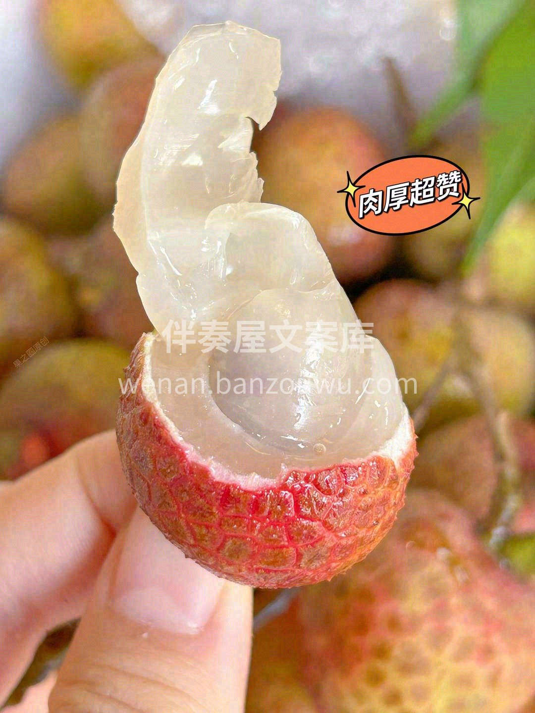 ?桂花香荔枝味道非常甜?，一般人很少吃到 配图1