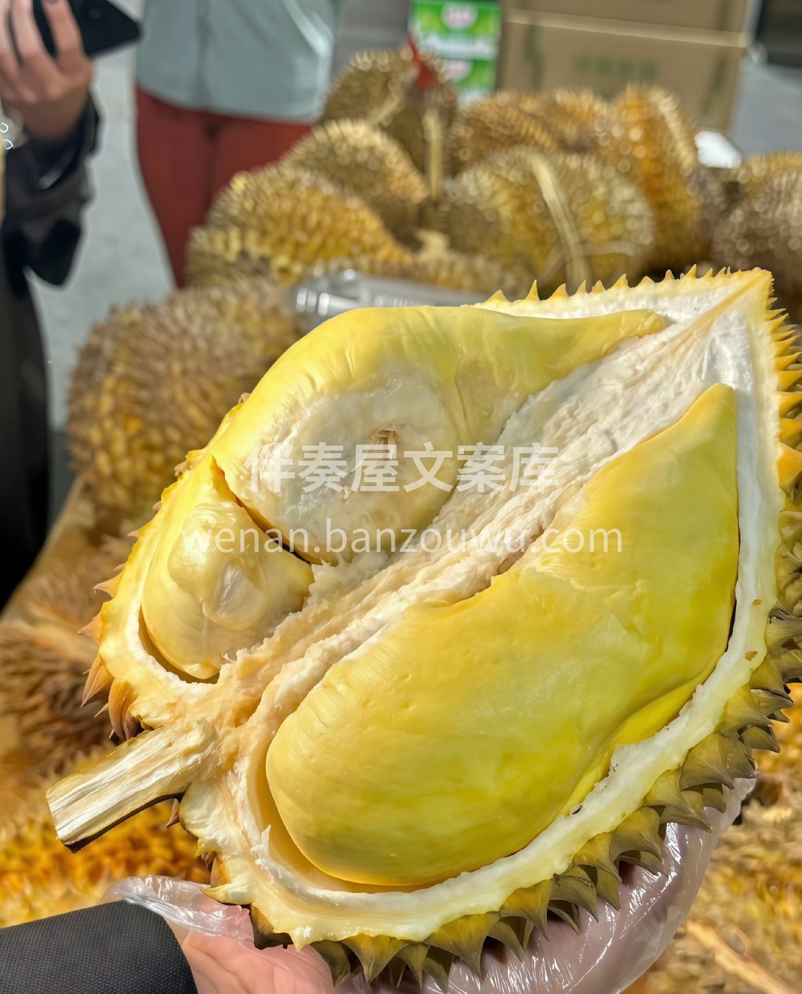 金枕榴莲✅ 果香馥郁浓烈，营养饱满💯绵密 配图1