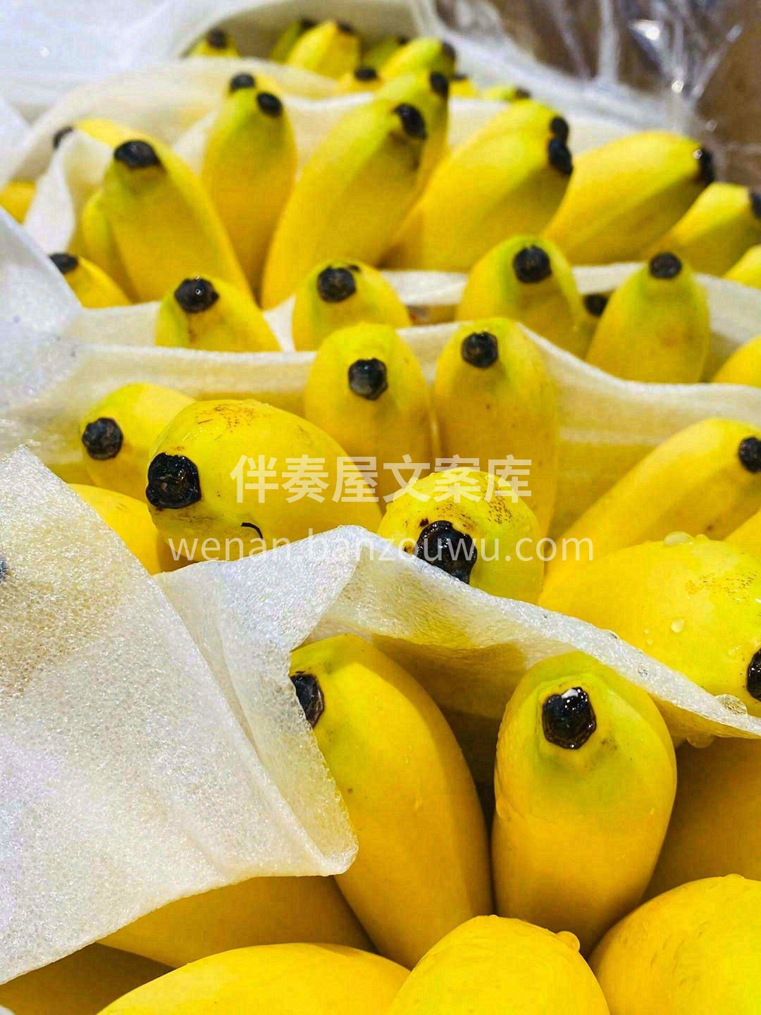 没有好东西怎会惊扰你📢 超级新鲜皇帝蕉🍌 配图2