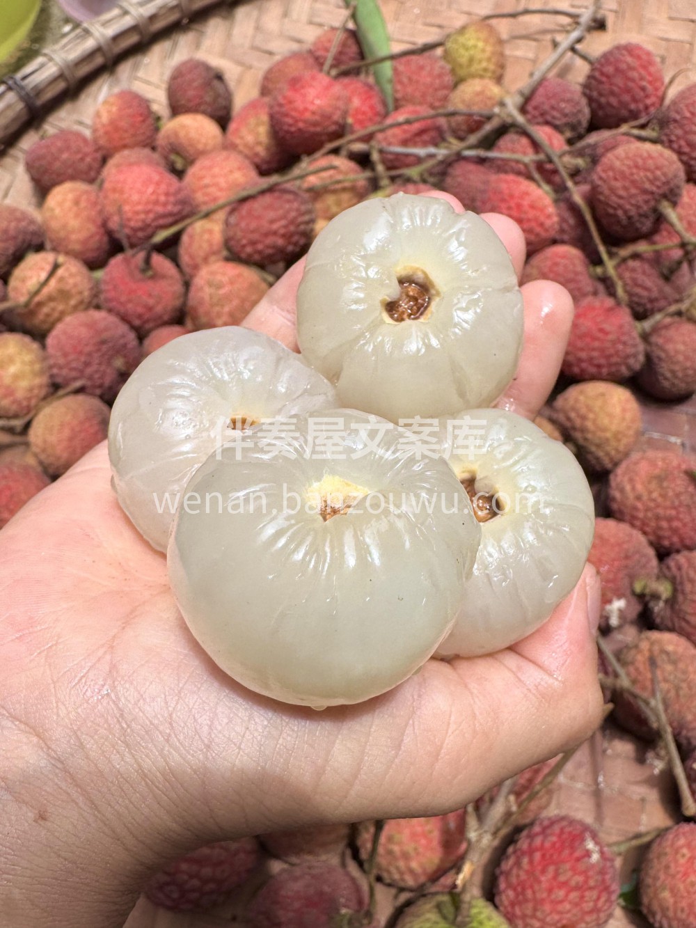 🍒 清新甜美风** **「荔枝红了，夏天 配图2
