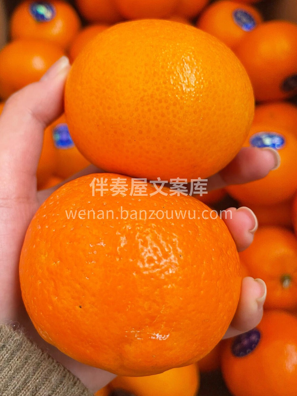 🍹纯甜爆汁无核沃柑🍃高糖低酸，汁水超多， 配图3