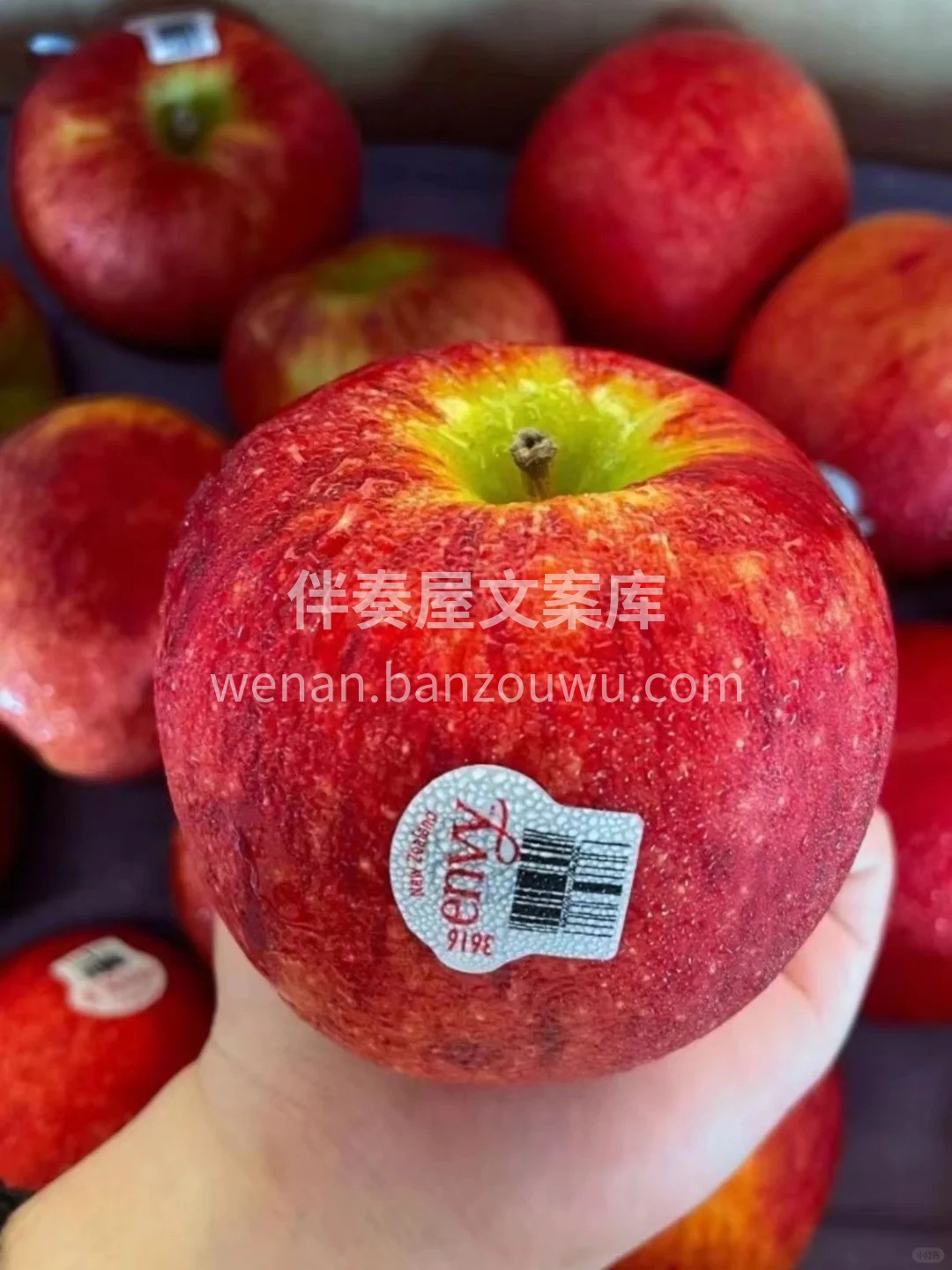 国庆到秋风起🍁水果正当时 清甜不腻🍐滋润 配图2