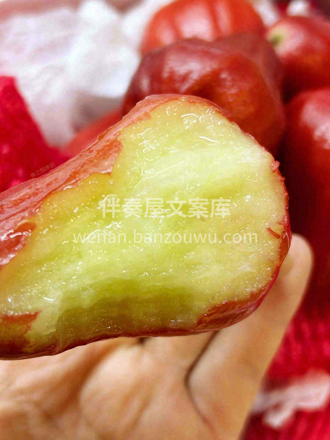 “补水小妖精”🏖️ 黑金刚莲雾💙，水分多 配图2