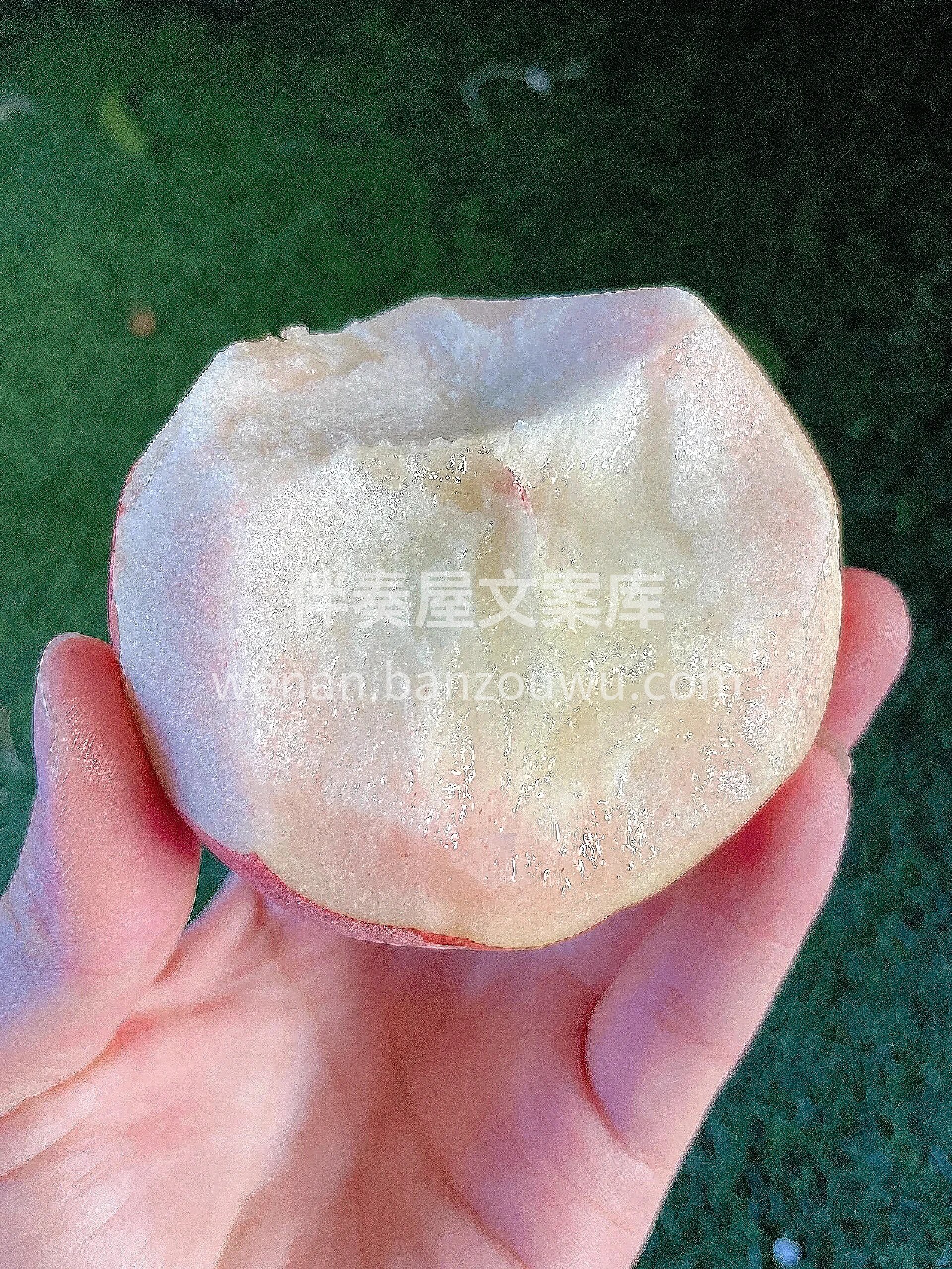 🍑纯甜桃子🥰刚收到是脆桃，肉质紧实，细腻 配图1
