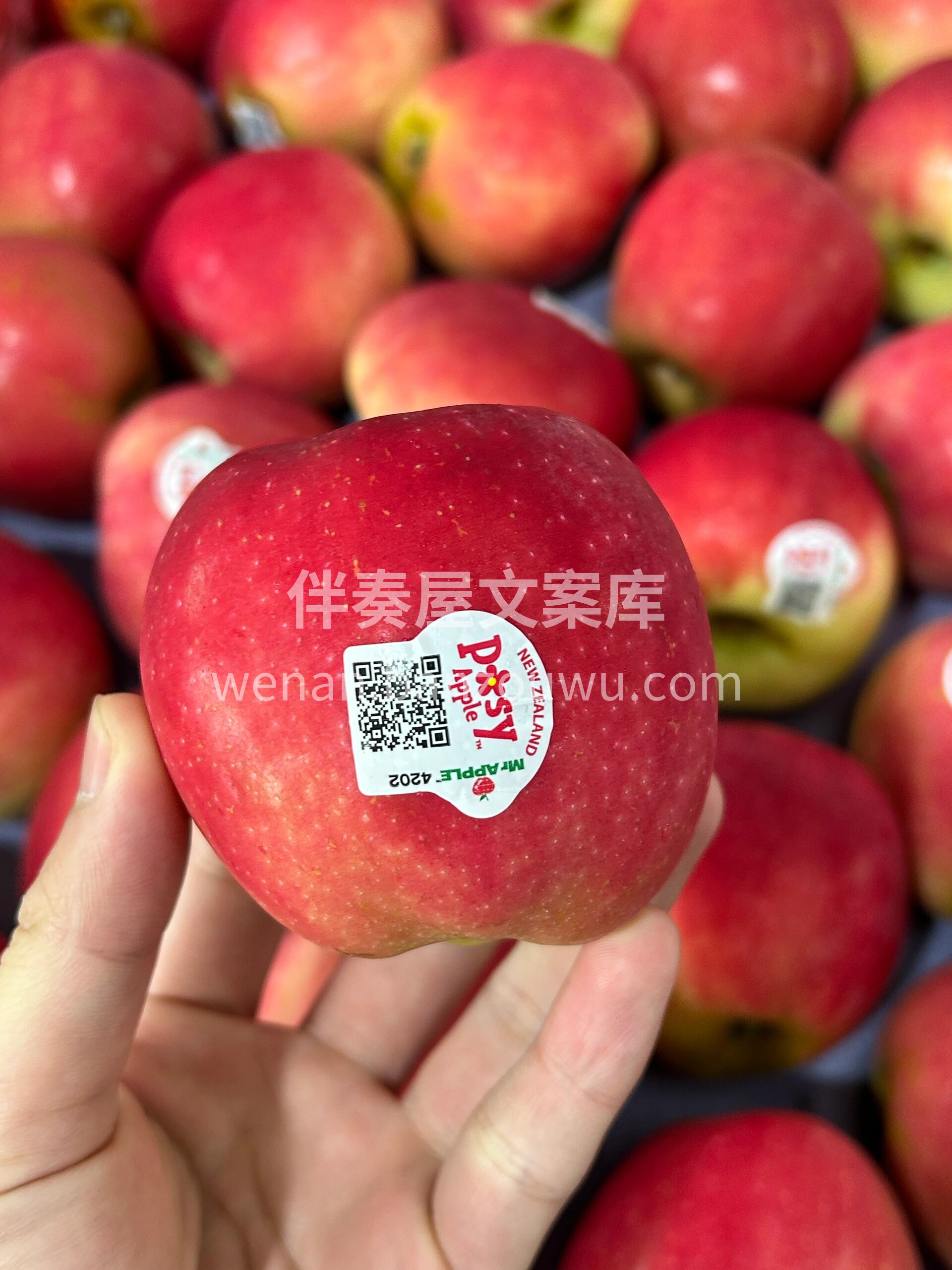 新西兰微风苹果🍎 这一口清爽只有自己知道 配图2